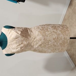 Gorgeous cream and gold knee length dress! Size 8